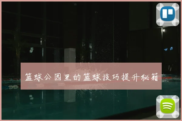 篮球公园里的篮球技巧提升秘籍